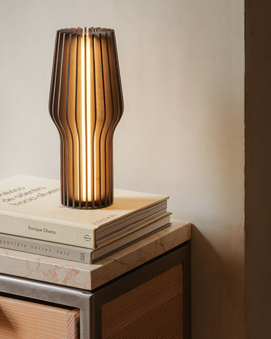 مصباح إيفا سولو 571381 LED مشع يعمل بالبطارية، لون خشب البلوط