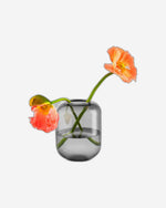 مزهرية إيفا سولو 571387 على شكل بلوط، ارتفاع 16.5 سم، مصنوعة من الحجر