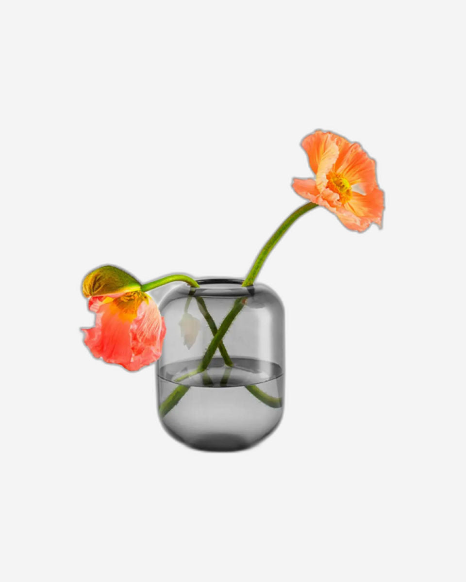 مزهرية إيفا سولو 571387 على شكل بلوط، ارتفاع 16.5 سم، مصنوعة من الحجر