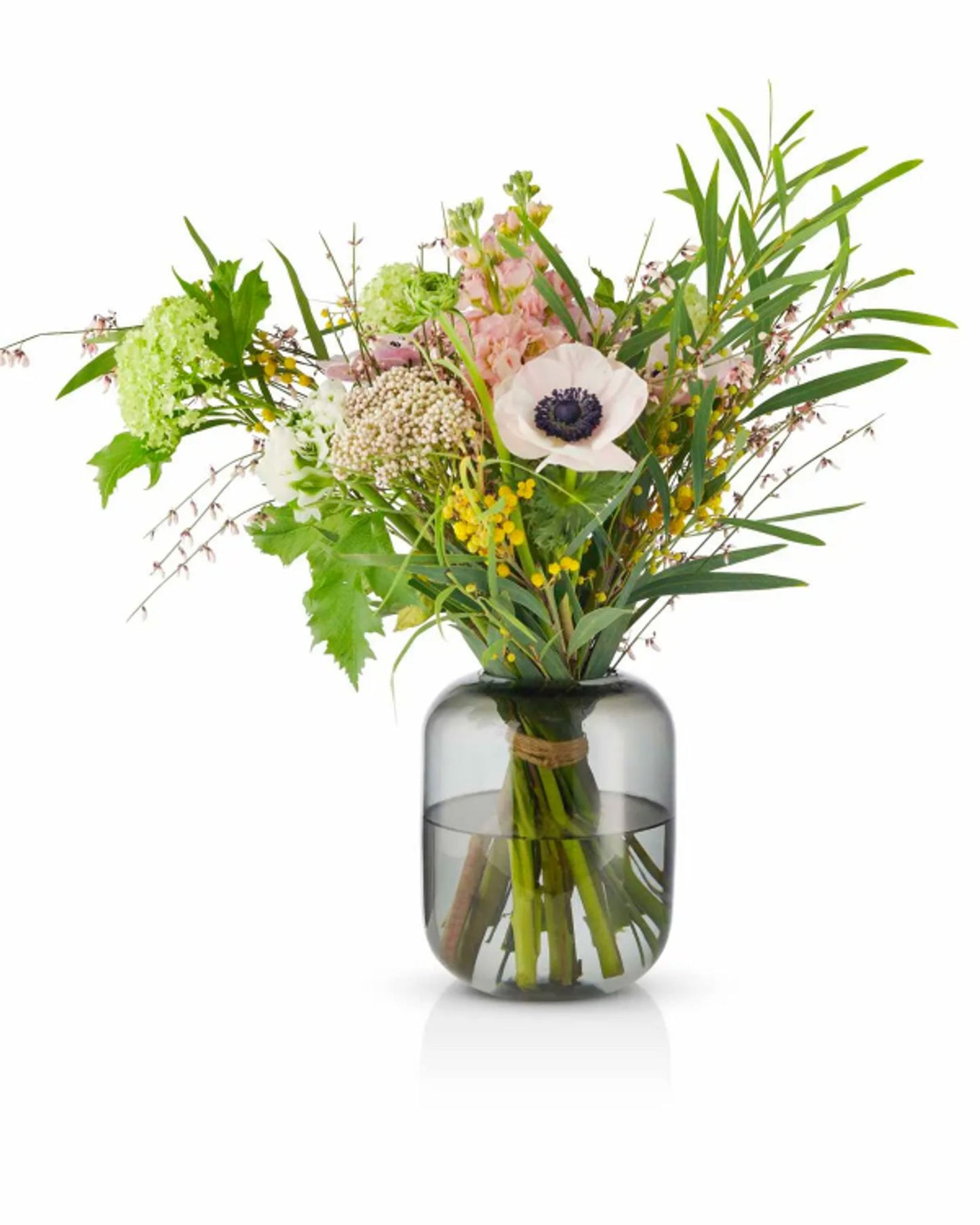 مزهرية إيفا سولو 571387 على شكل بلوط، ارتفاع 16.5 سم، مصنوعة من الحجر