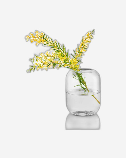 مزهرية إيفا سولو 571388 على شكل بلوط، ارتفاع 16.5 بوصة، شفافة