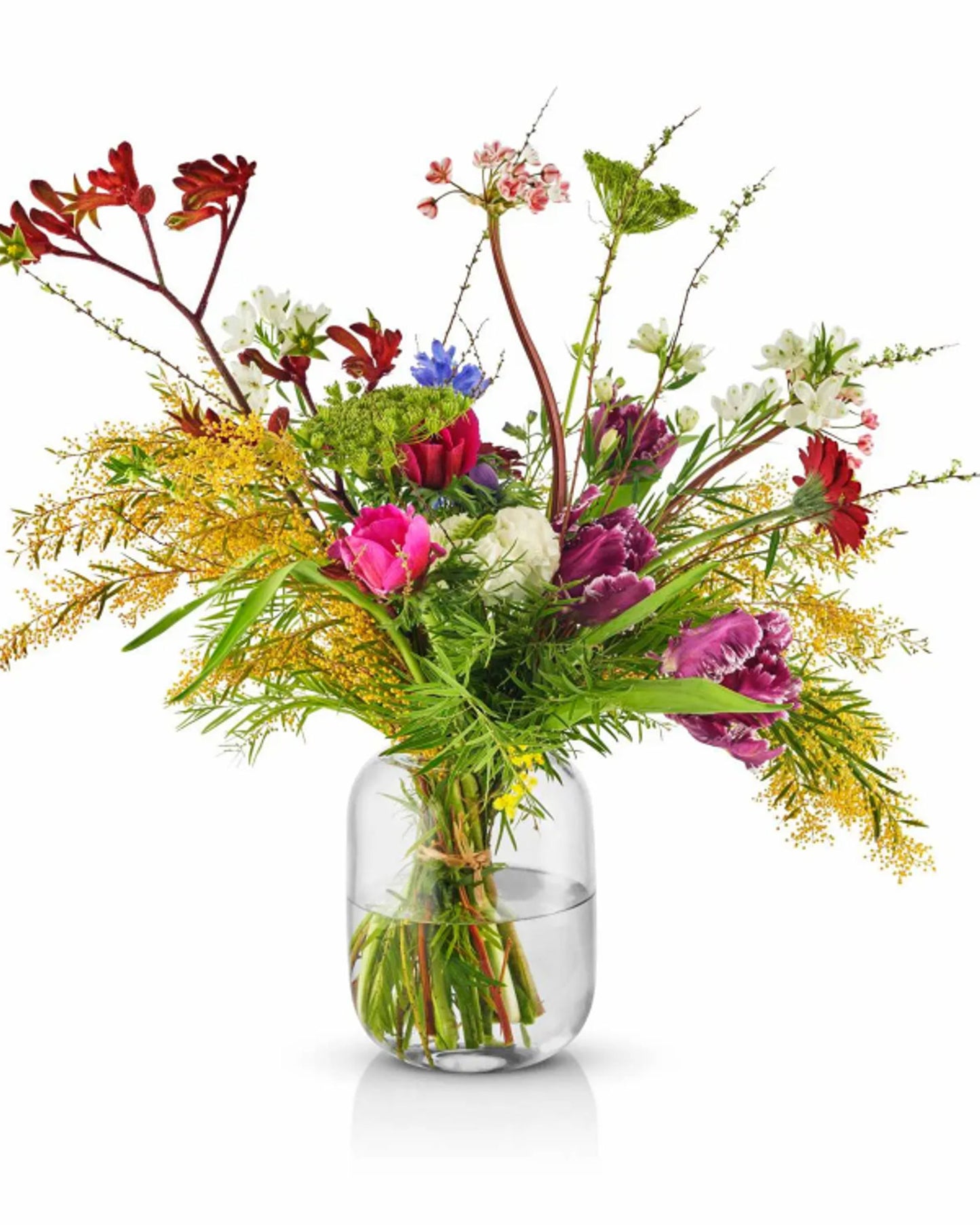 مزهرية إيفا سولو 571388 على شكل بلوط، ارتفاع 16.5 بوصة، شفافة