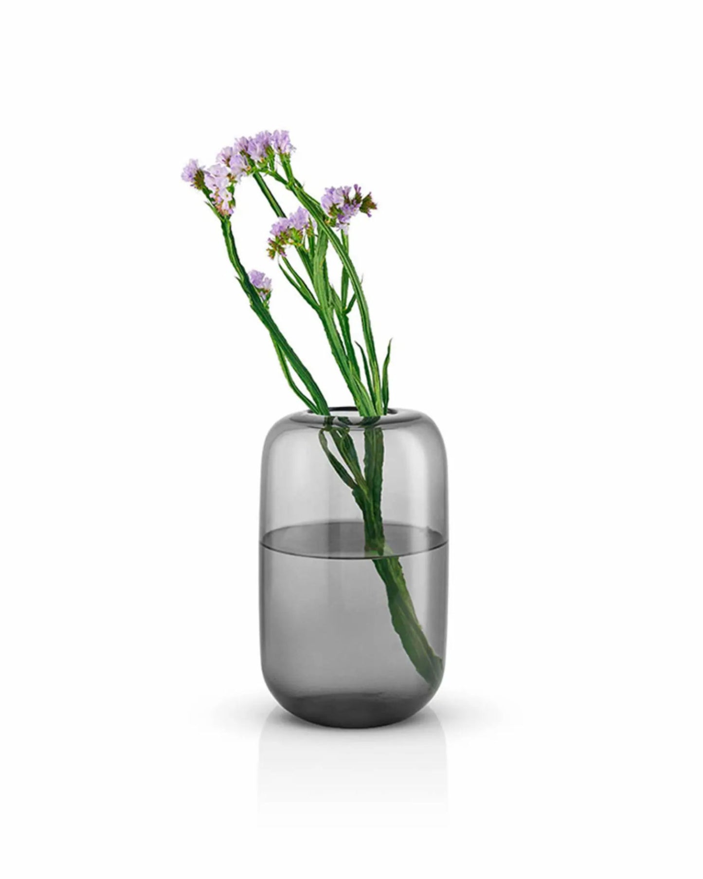 مزهرية إيفا سولو 571389 على شكل بلوط، حجر H22