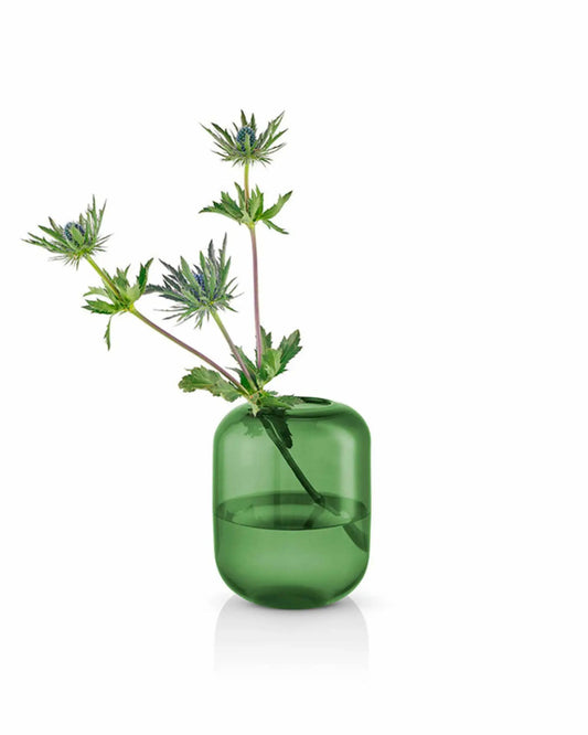 مزهرية إيفا سولو 571392 على شكل بلوط، ارتفاع 16.5 بوصة، خشب الصنوبر