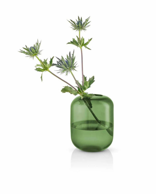 مزهرية إيفا سولو 571392 على شكل بلوط، ارتفاع 16.5 بوصة، خشب الصنوبر