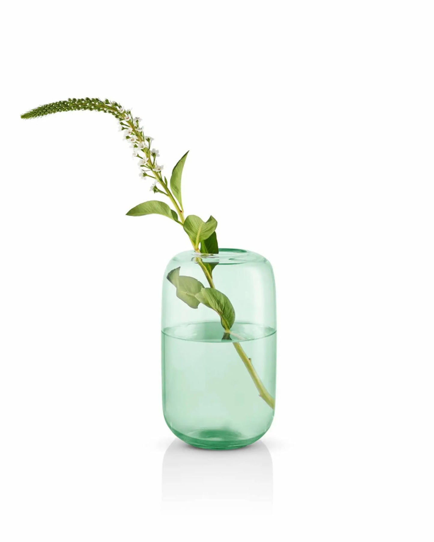 مزهرية إيفا سولو 571397 على شكل بلوط، ارتفاع 22 بوصة، لون أخضر نعناعي