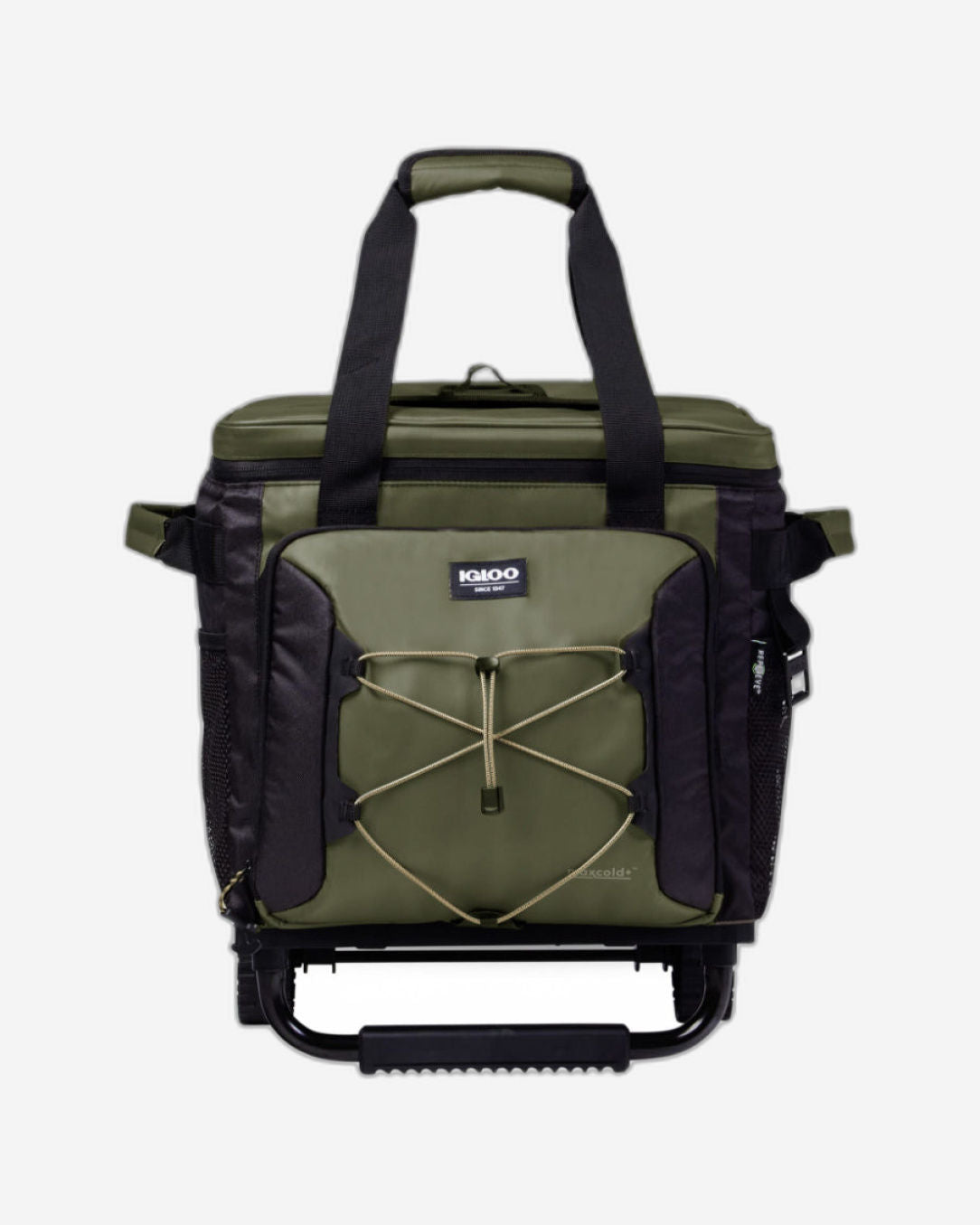 00066322-Igloo-مبرد أسطواني قابل للطي للتخييم صديق للبيئة، 40 علبة - زيتوني