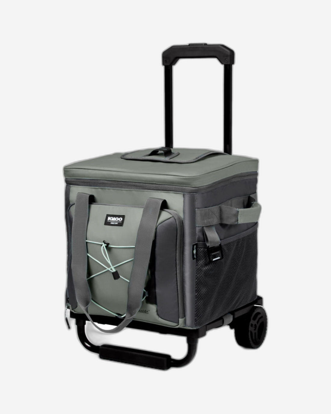 00066324-Igloo-مبرد أسطواني قابل للطي للتخييم صديق للبيئة، 40 علبة - رمادي