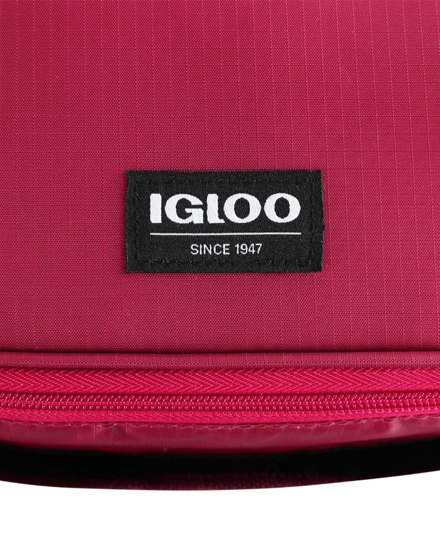 00066396-Igloo-Collapse &amp; Cool 12 حقيبة تبريد - زينفاندل / سكوتر