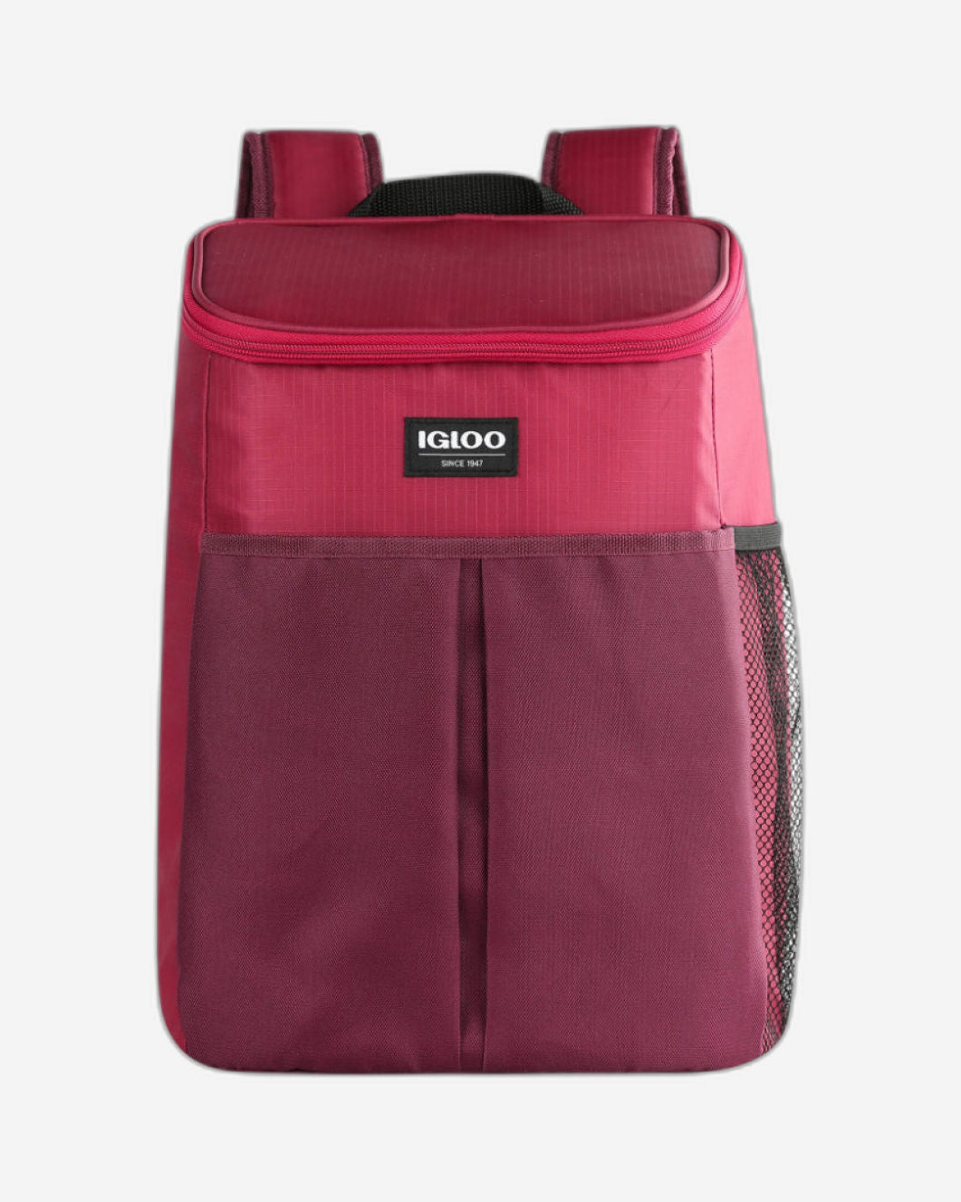 00066408-Igloo- حقيبة ظهر أساسية سعة 18 علبة - Scooter.zinfandal