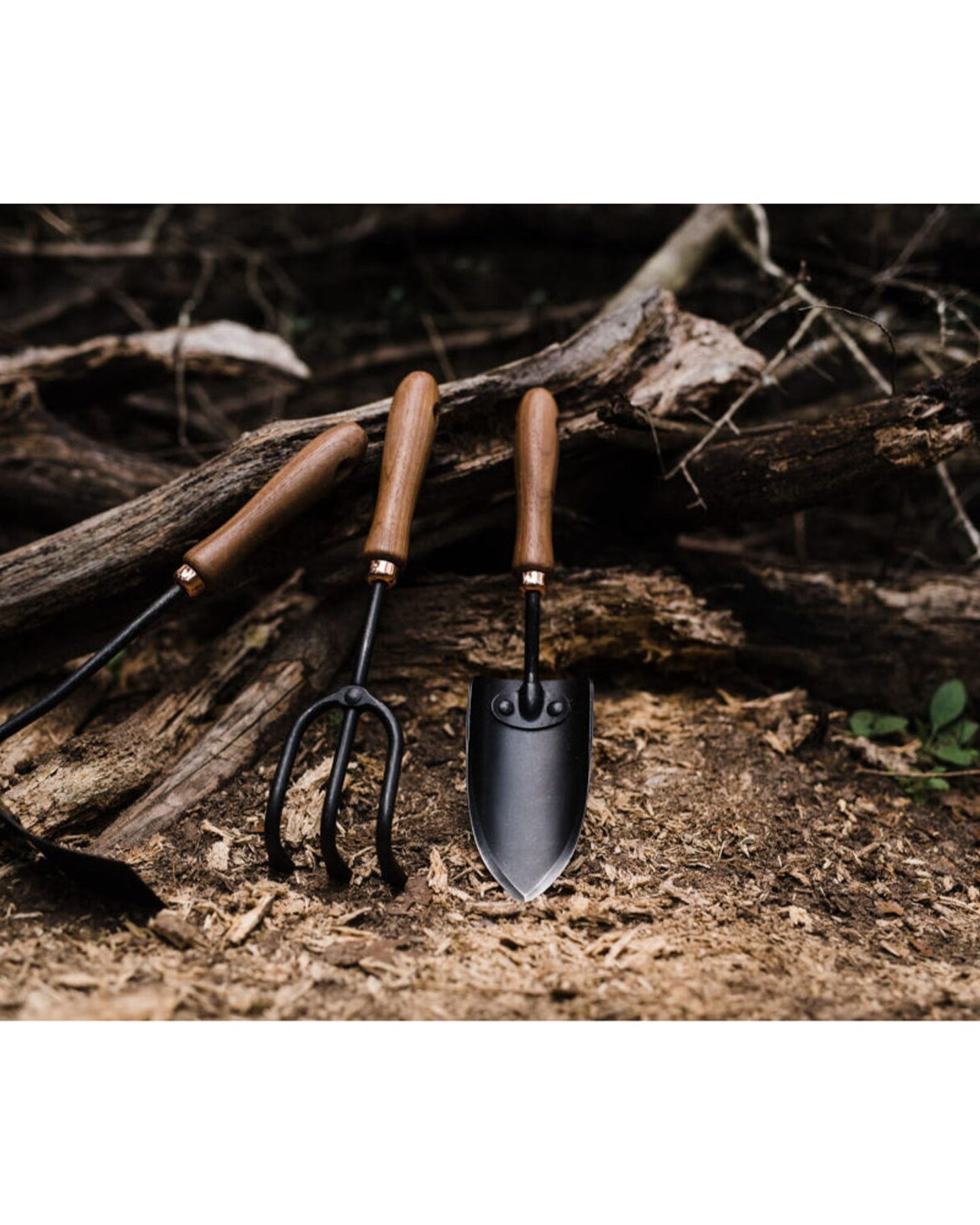 BareBones - مجرفة مربعة - لون الجوز/الأسود