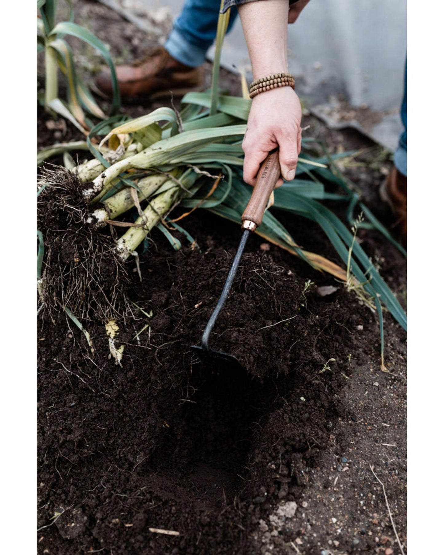 BareBones - مجرفة مربعة - لون الجوز/الأسود