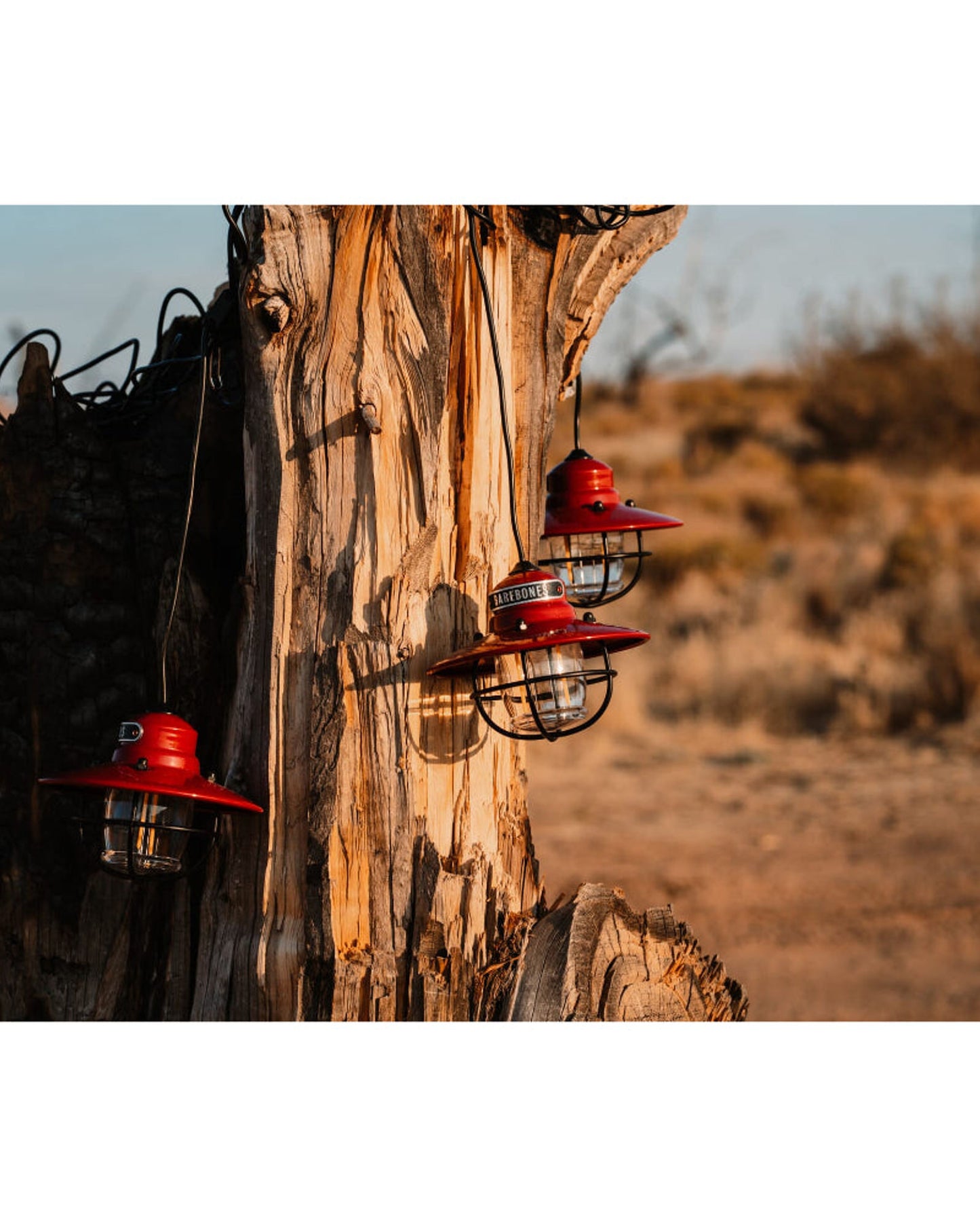 BareBones - أضواء سلسلة إيديسون (حمراء)