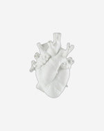 مزهرية سيليتي لوف إن بلوم باللون الأبيض