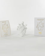 مزهرية سيليتي لوف إن بلوم باللون الأبيض