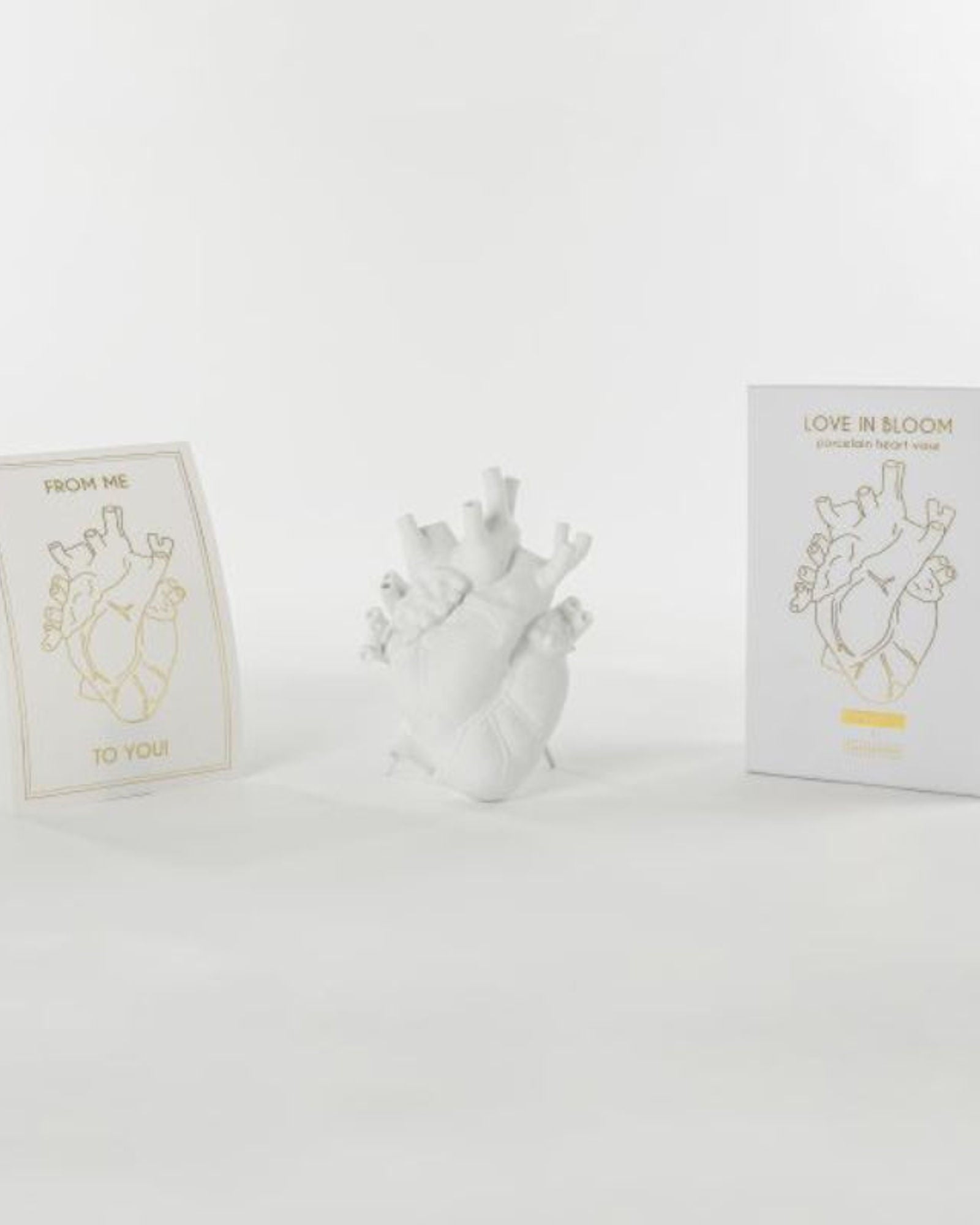 مزهرية سيليتي لوف إن بلوم باللون الأبيض