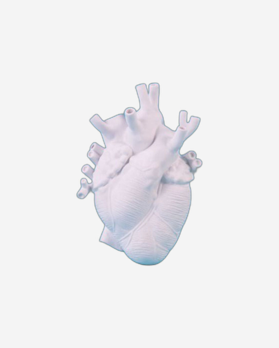 مزهرية سيليتي لوف إن بلوم باللون الأبيض