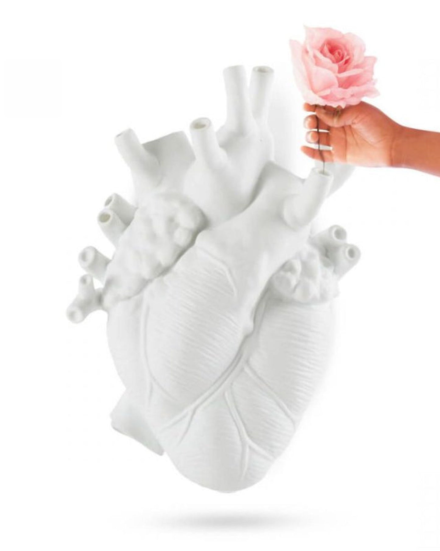 مزهرية سيليتي "الحب في الإزهار" بيضاء ضخمة