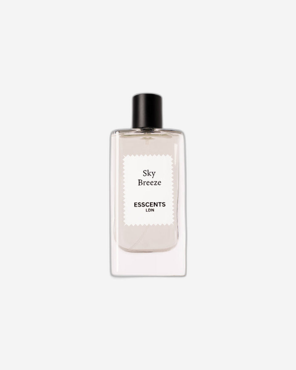 ايسنتس ال دي ان سكاي بريز او دي بارفان 70 مل