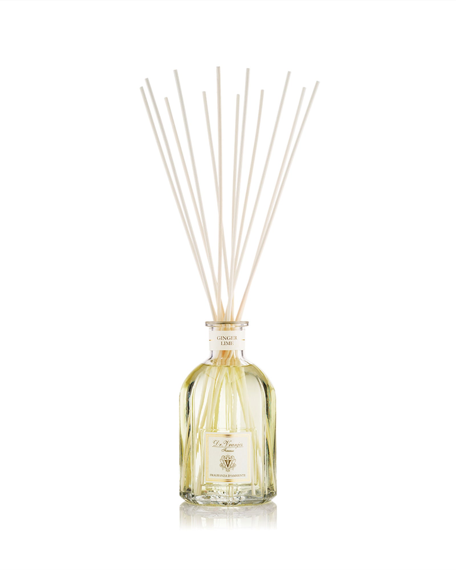 زجاجة دكتور فرانيس فازو الزنجبيل والليمون 5000 مل