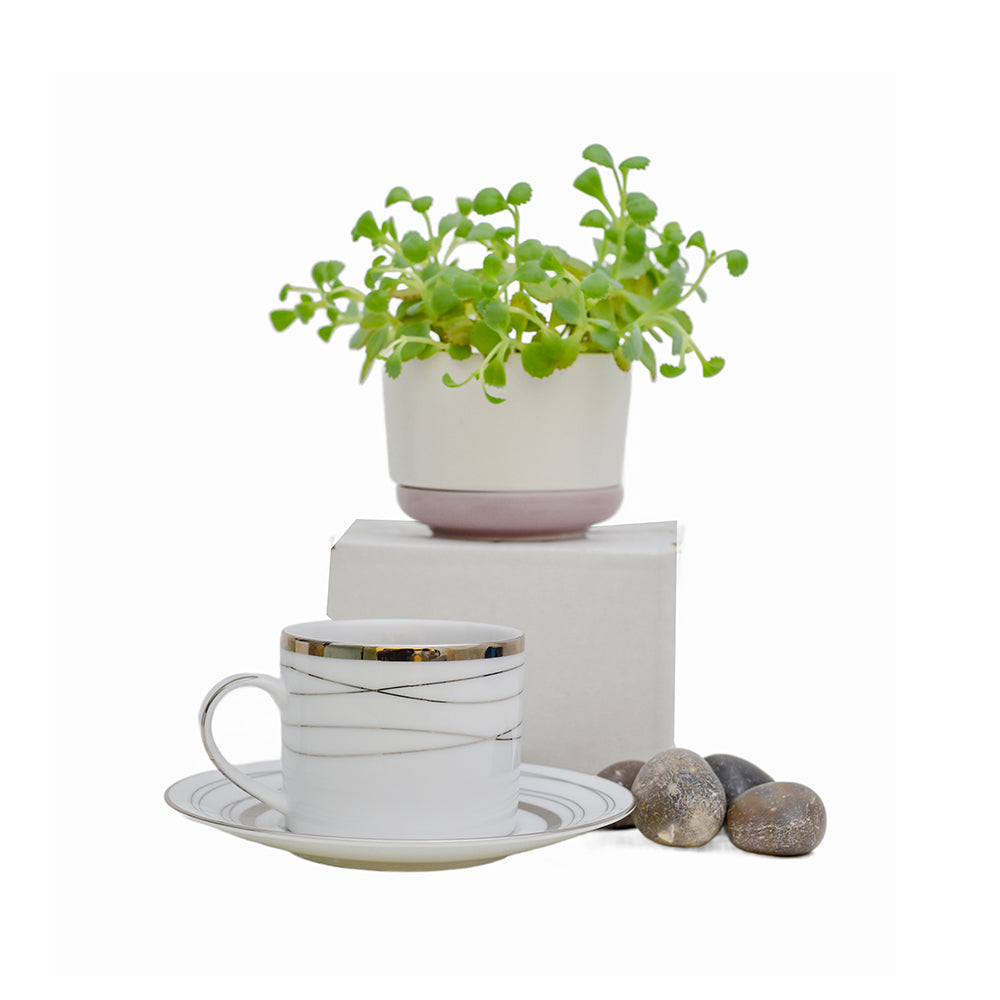 طقم عشاء دانكوتوا من 24 قطعة مع هيلين باللون الأبيض الفضي