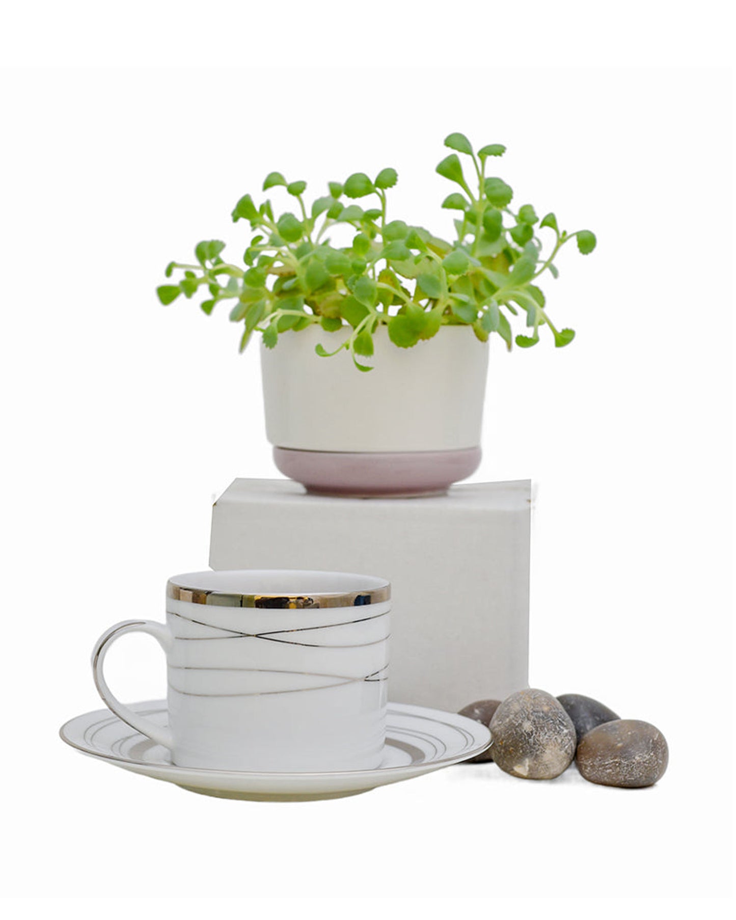 طقم عشاء دانكوتوا 24 قطعة أبيض فضي هيلين