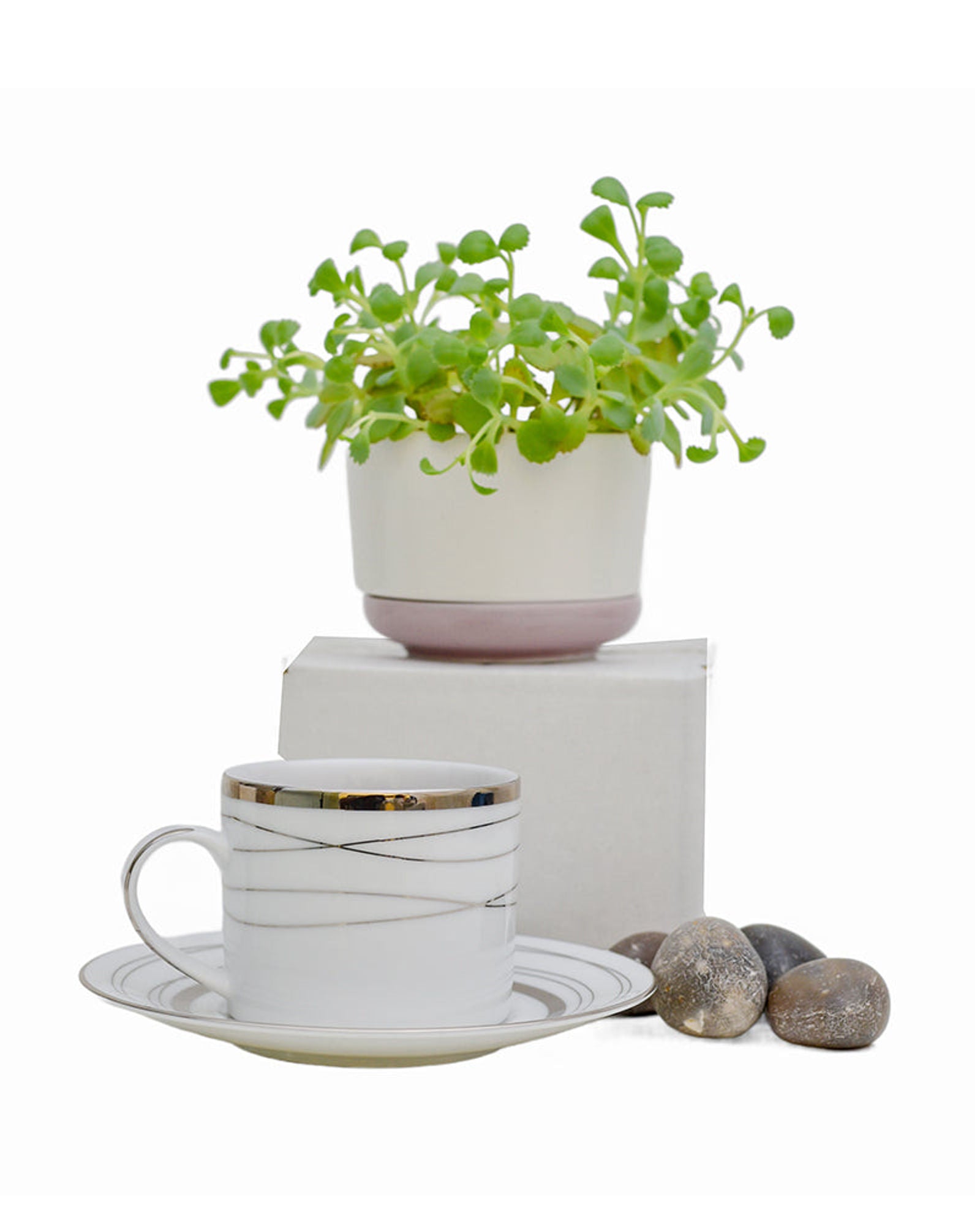 طقم عشاء دانكوتوا من 24 قطعة مع هيلين باللون الأبيض الفضي