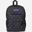 حقيبة ظهر JanSport Big Day متوسطة الحجم بتصميم Bad Bows