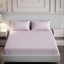 Mulberry Living Cotton Queen Flat 300TC Elysian Stripes Cameo Rose