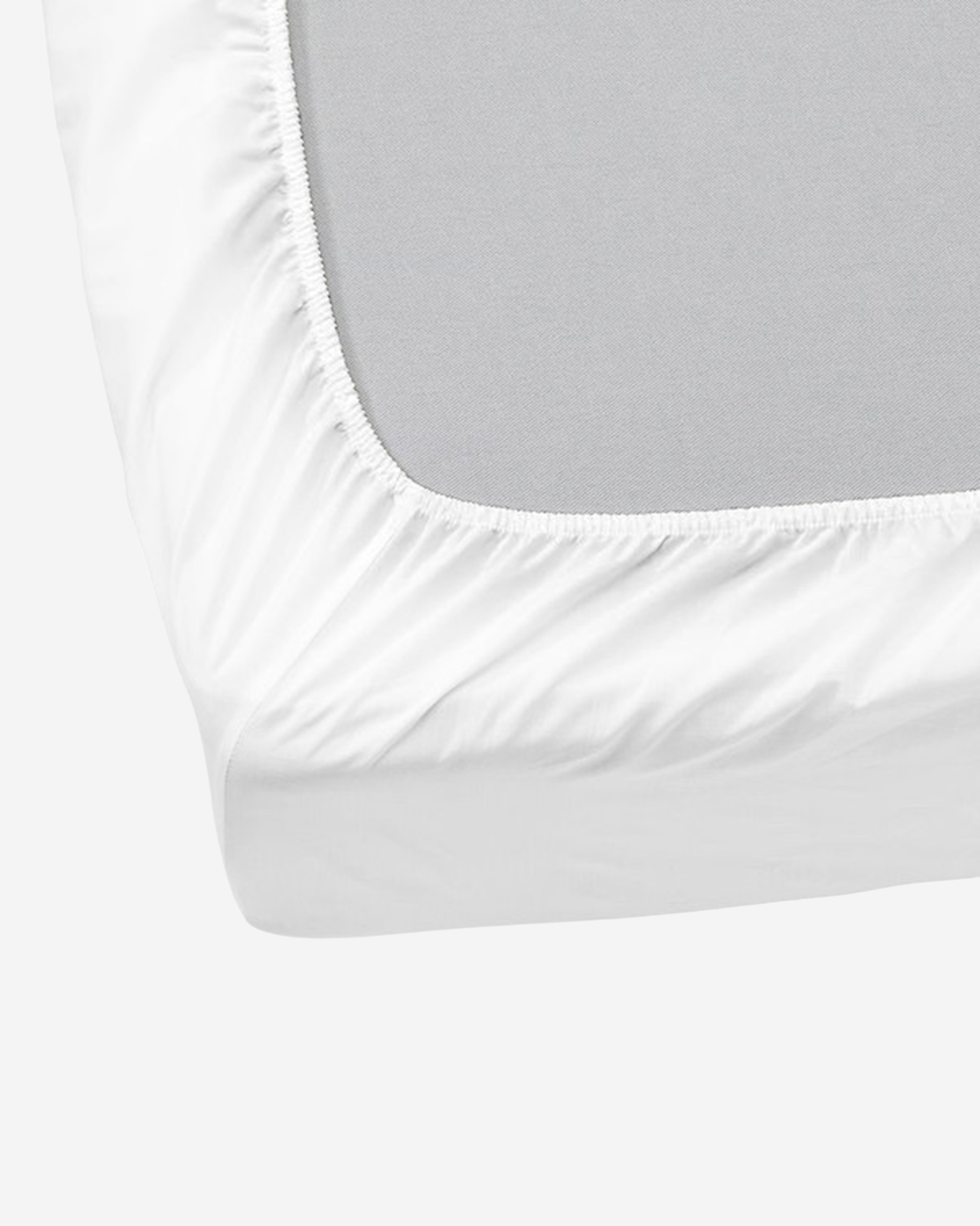 Mulberry Living Cotton King Flat 1000TC Pure Essence White