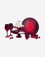 حامل توغنانا سم 28 شغف الميلاد