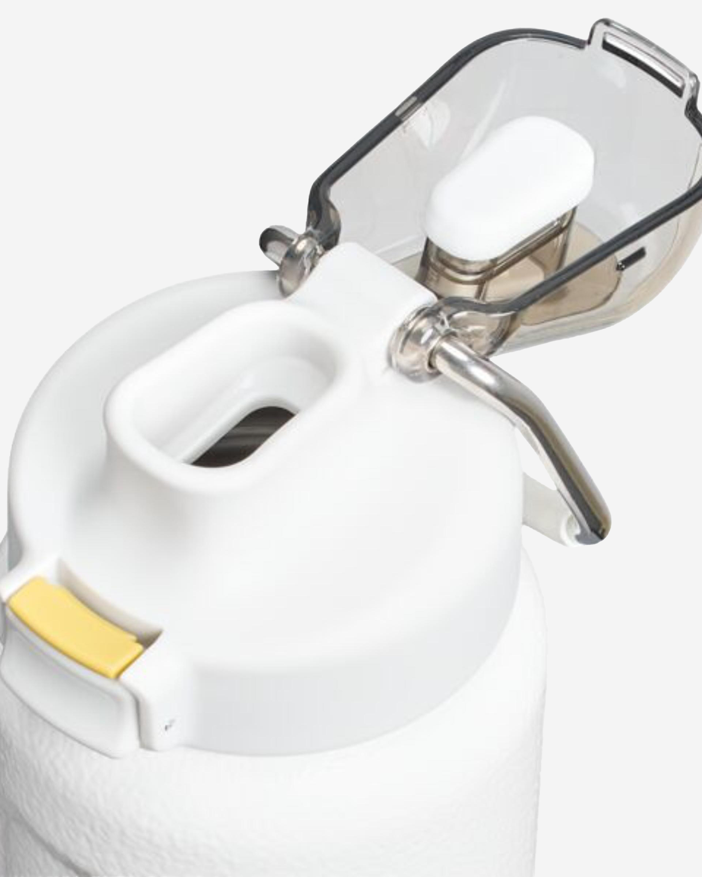Stanley Classic Wellspring Bottle 700 ml Hammertone Frost