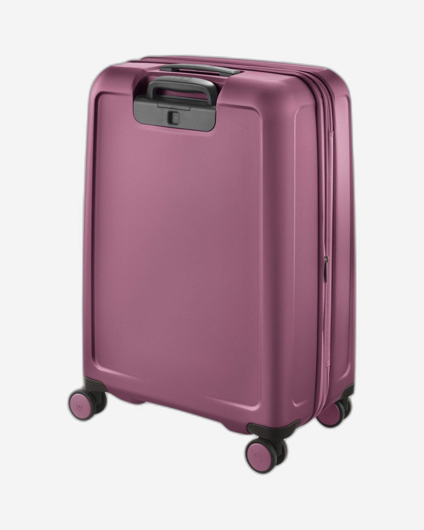 فيكتورينوكس كونيكس