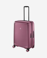 فيكتورينوكس كونيكس