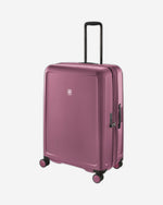 فيكتورينوكس كونيكس