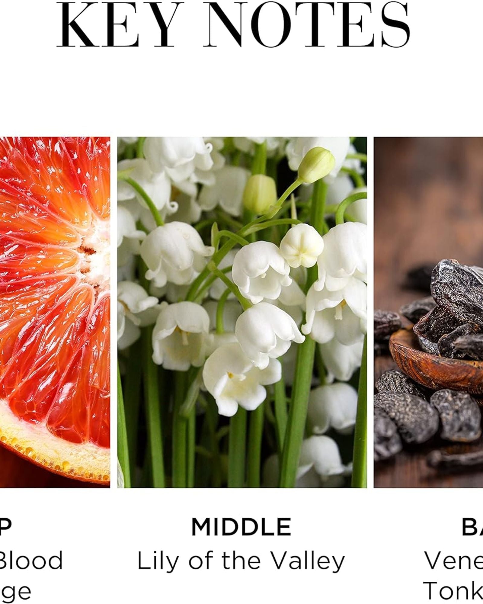 إليزابيث آردن وايت تي فريش أو دو تواليت 100 مل