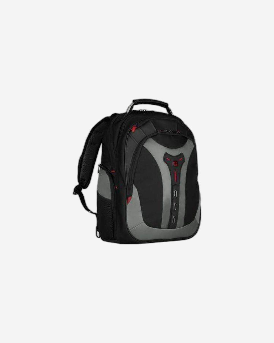 فينغر بيجاسوس