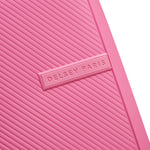 ديلسي باريس أنفيرس