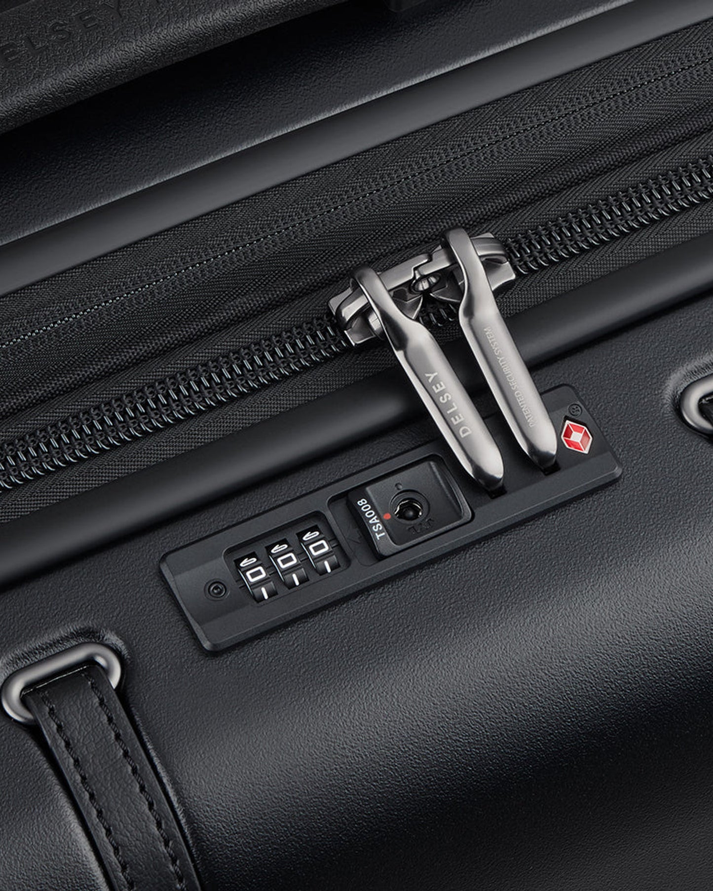 حقائب ديلسي باريس كادينس