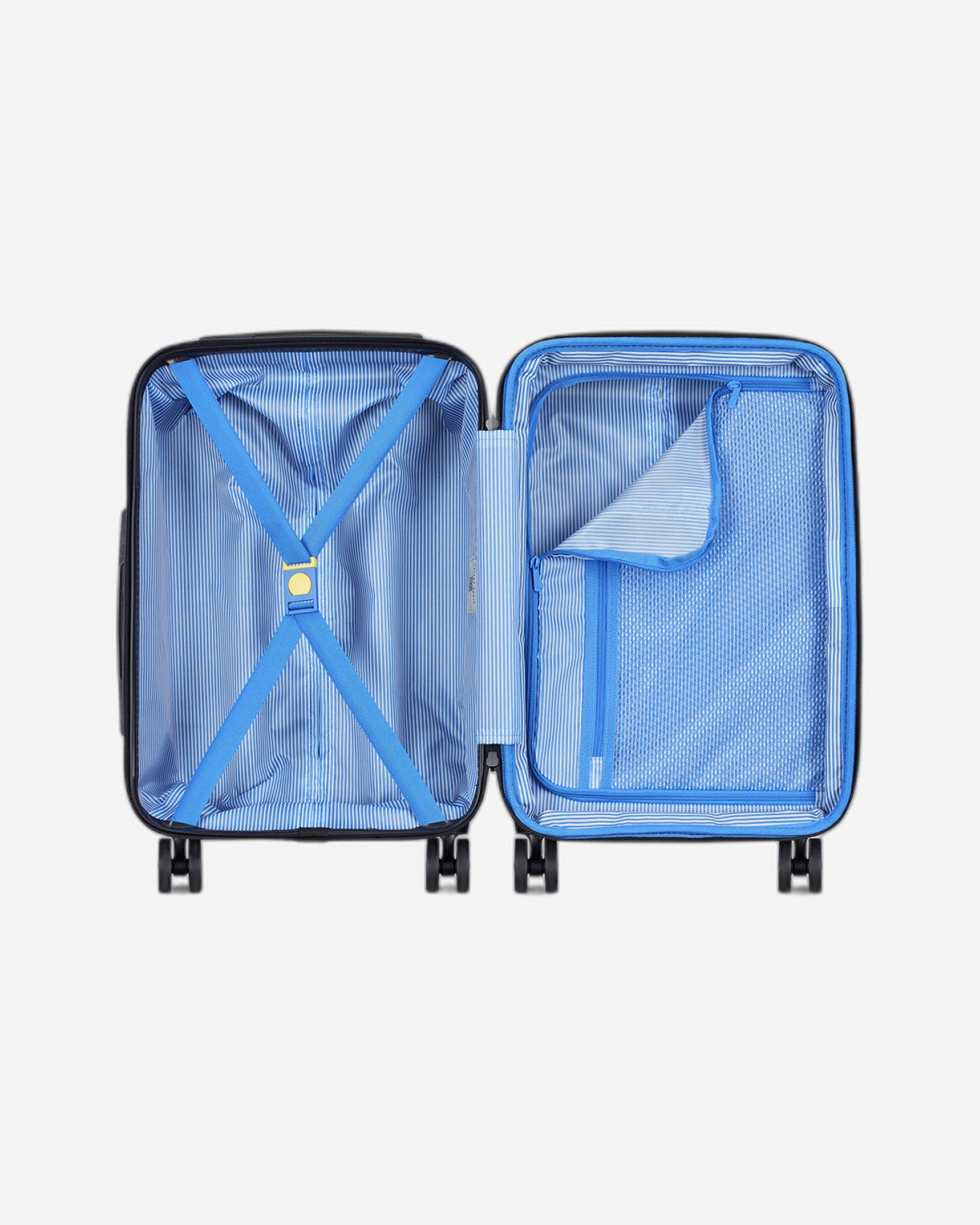 حقائب ديلسي باريس كاميليا