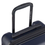 ديلسي باريس كاميليا