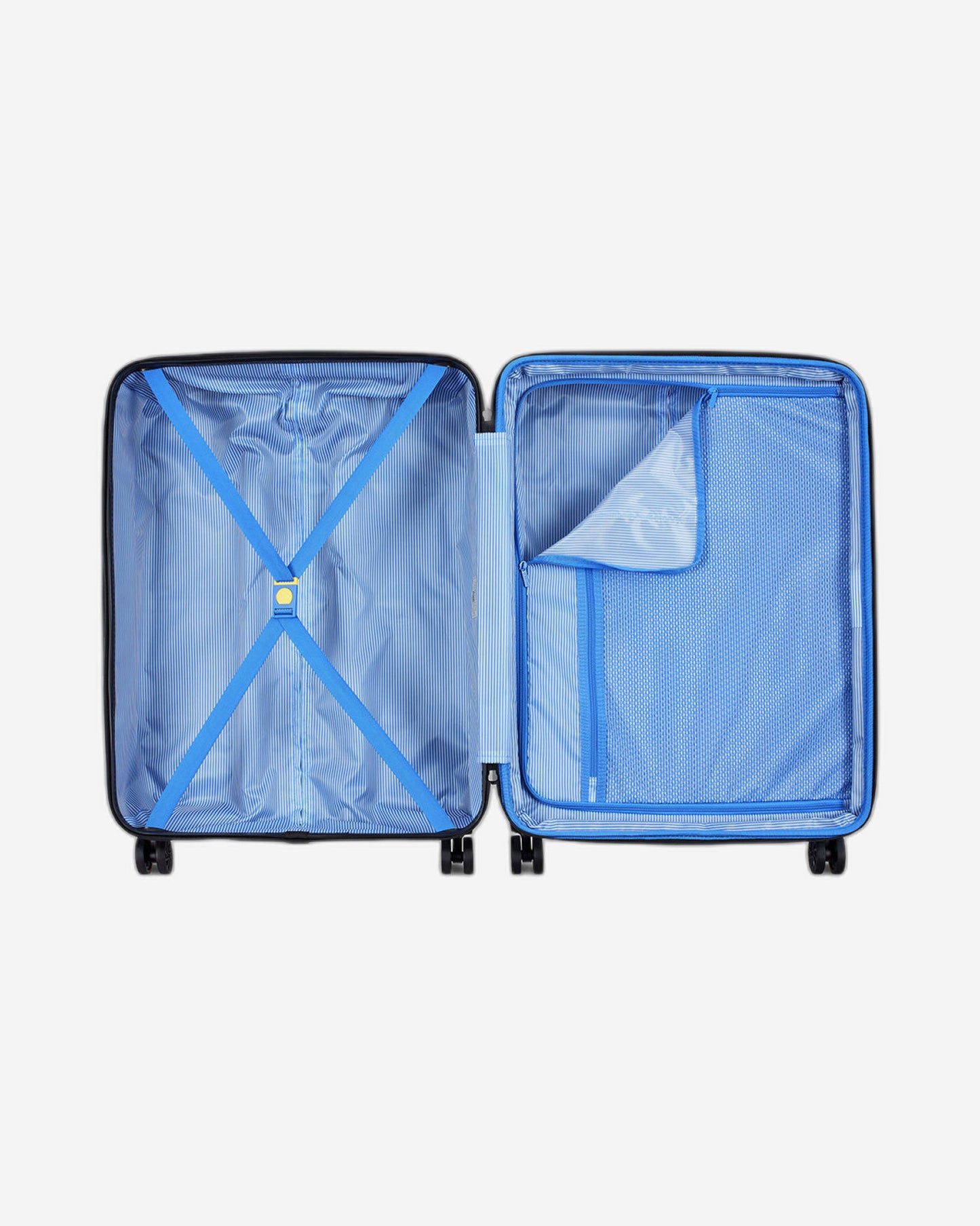 حقائب ديلسي باريس كاميليا