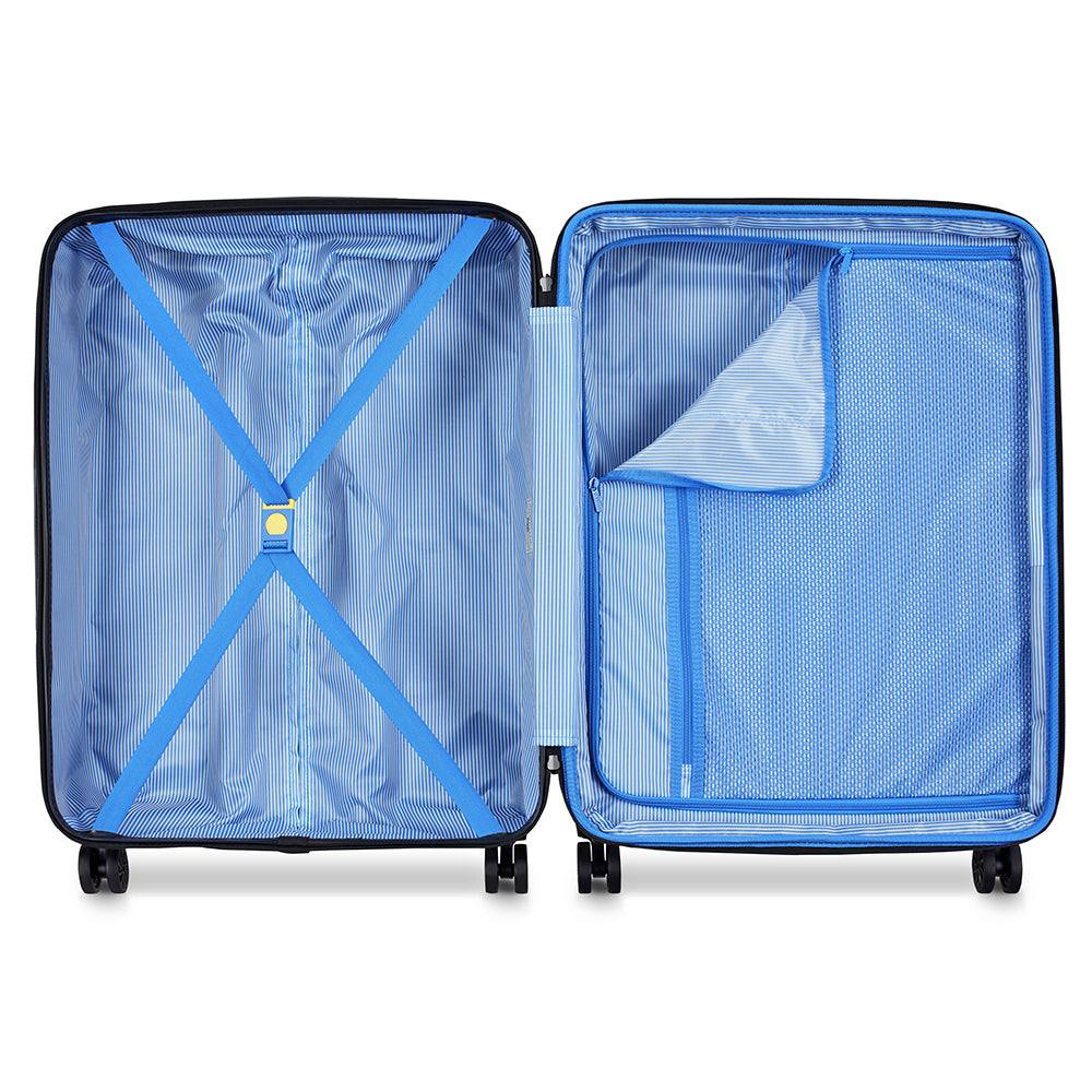 ديلسي باريس كاميليا