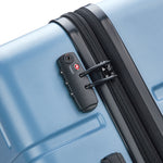 ديلسي باريس كاميليا