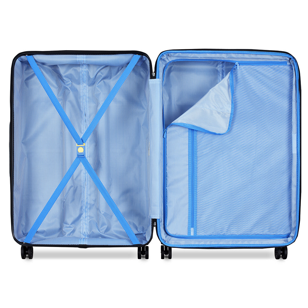 ديلسي باريس كاميليا