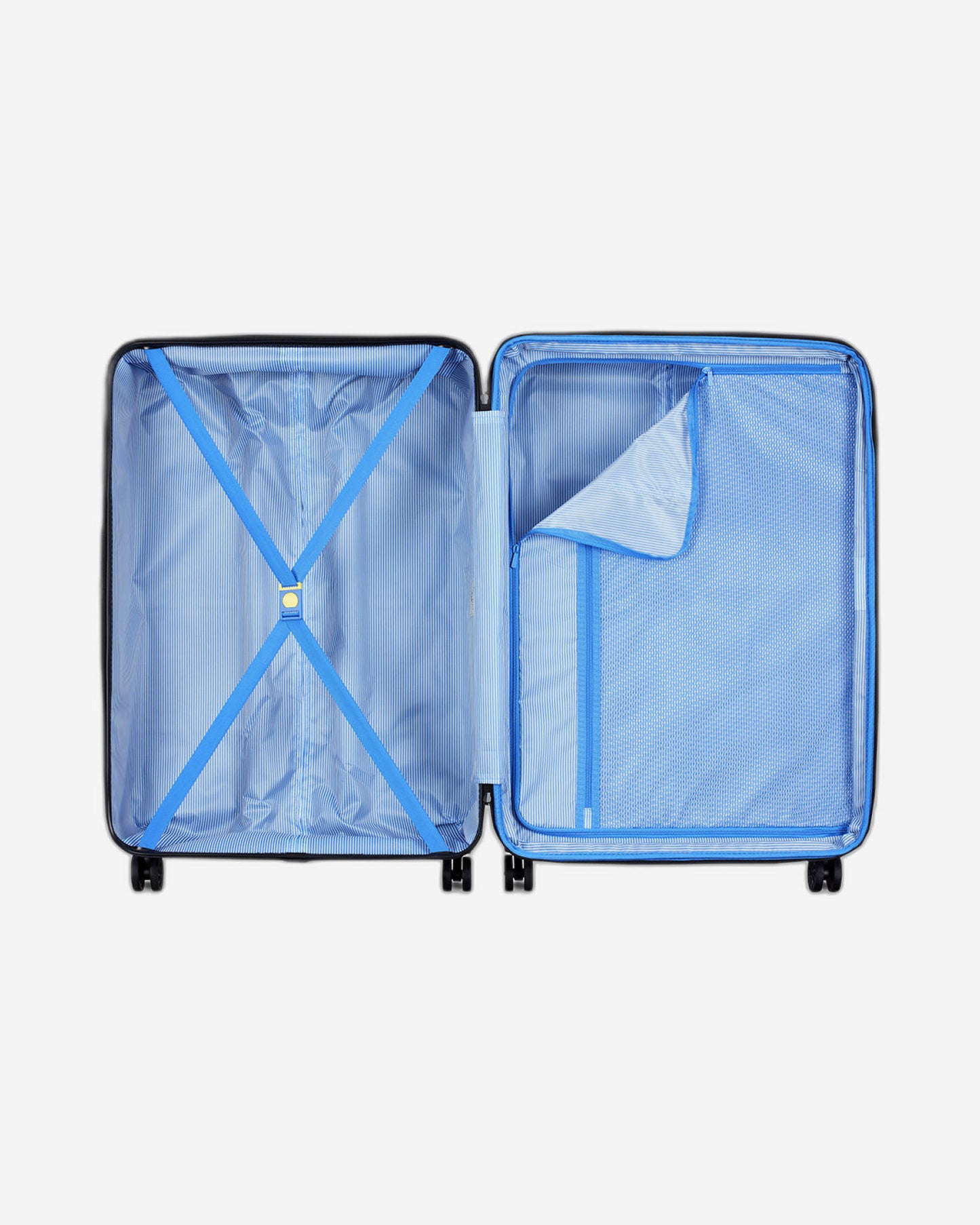 حقائب ديلسي باريس كاميليا