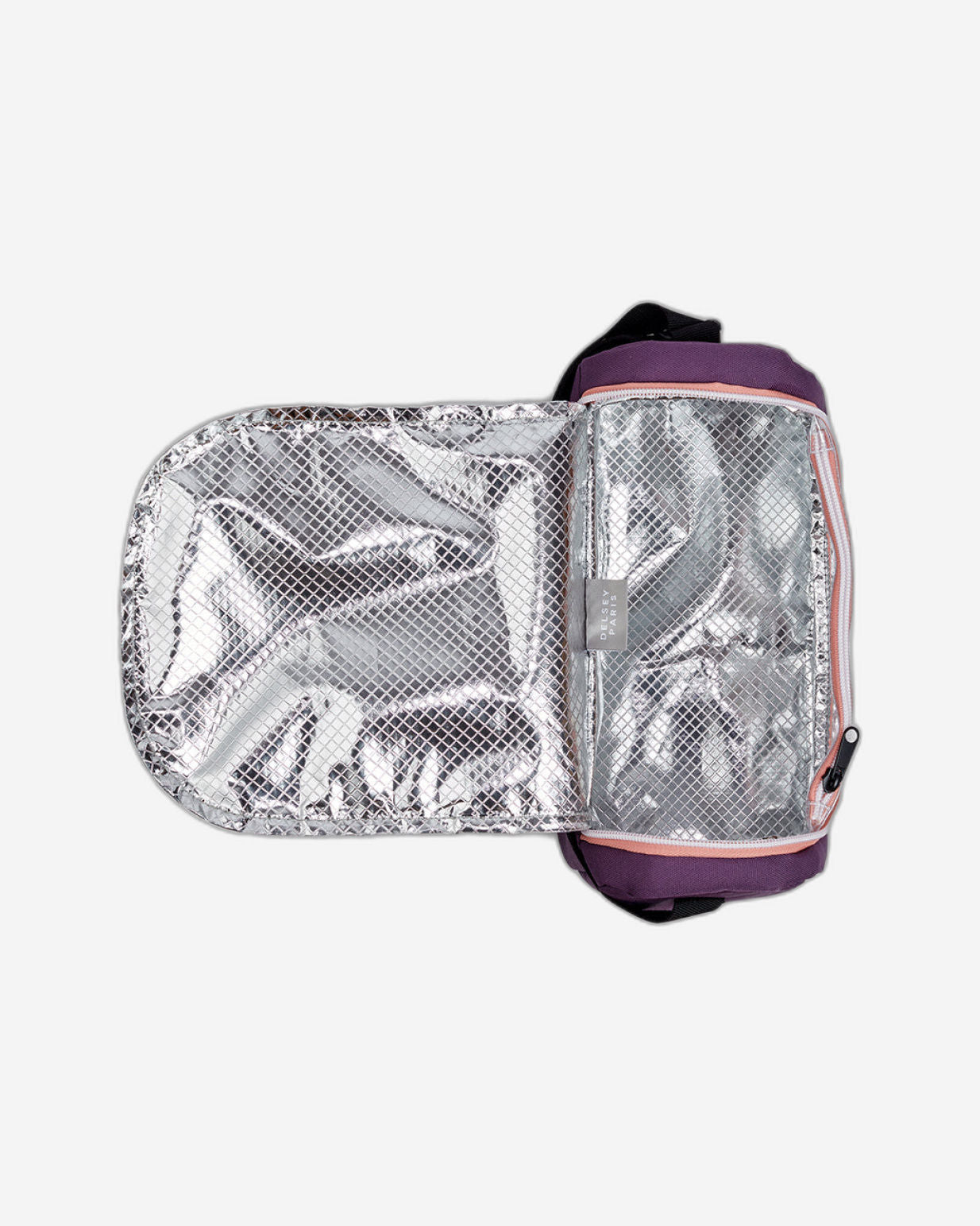 حقيبة غداء ديلسي باريس للعودة إلى المدرسة 2025