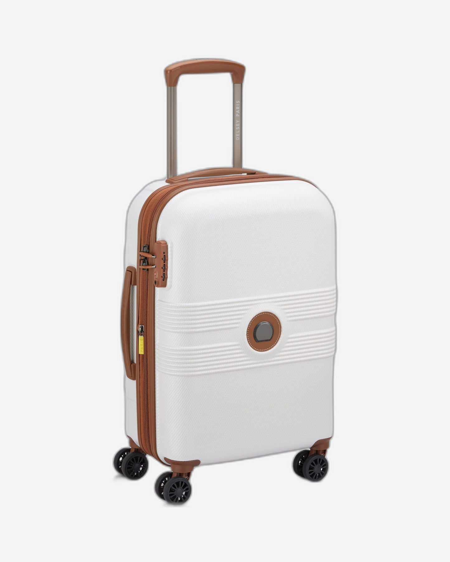 حقائب ديلسي باريس فلانيري