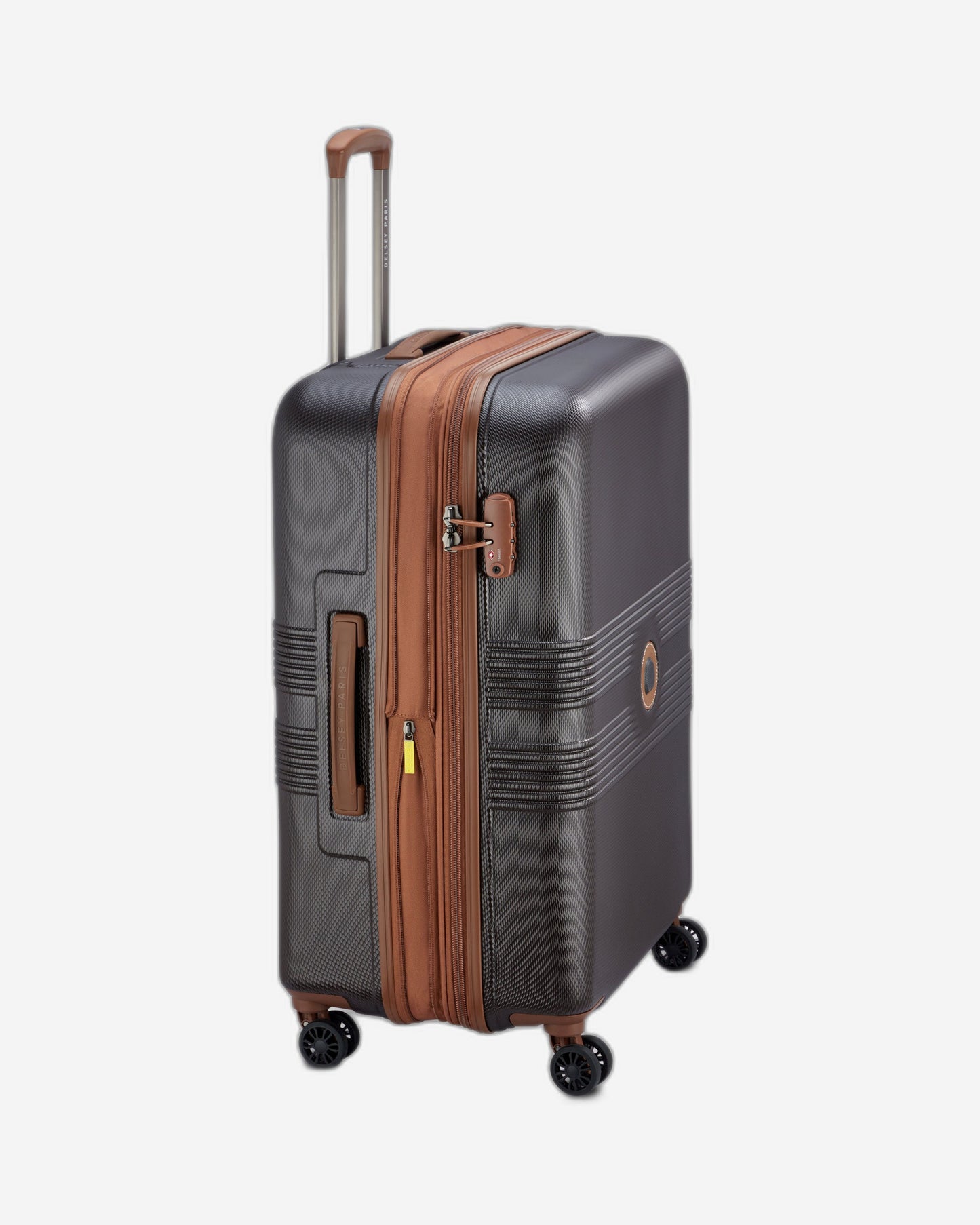 حقائب ديلسي باريس فلانيري