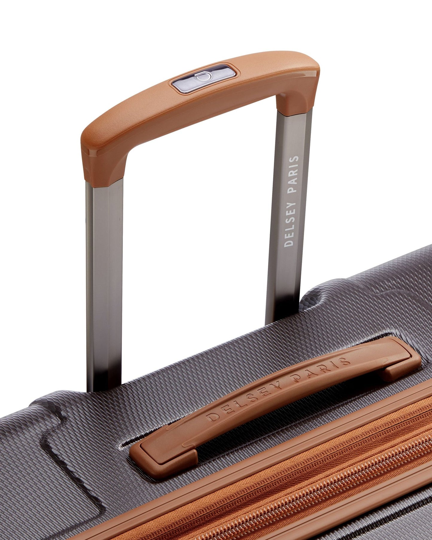 حقائب ديلسي باريس فلانيري